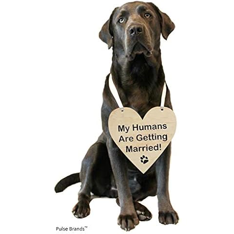 Pulse Brands Engagement Photo Prop Sign - My Humans are Getting Married - Engagement Gifts - Bride to Be - Engaged - Engagement Gifts for Couples Cover
