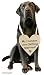 Pulse Brands Engagement Photo Prop Sign - My Humans are Getting Married - Engagement Gifts - Bride to Be - Engaged - Engagement Gifts for Couples