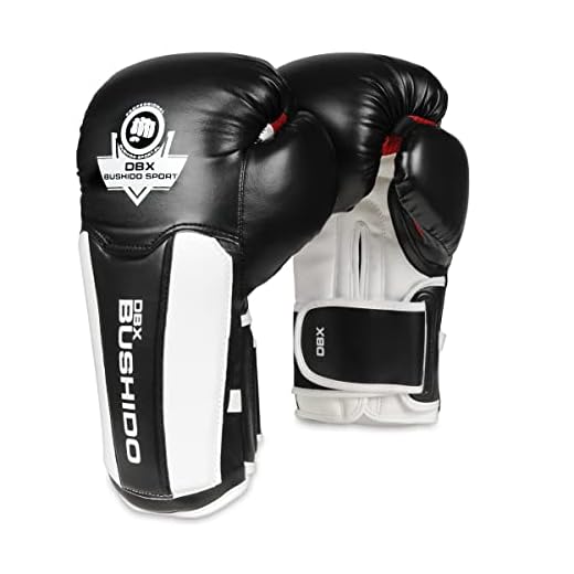 DBX BUSHIDO SPORT Boxhandschuhe Herren “ ActiveClima” 12oz - Boxhandschuhe Männer - Boxing Gloves für Kampfsport - Box Handschuhe - Kickbox Handschuhe