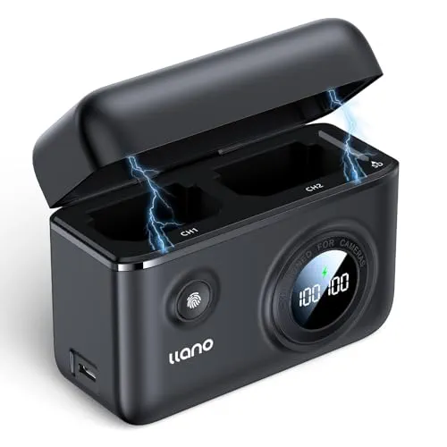 Battery Fast Charger 2-Slot A67