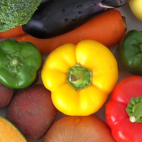 [Amazon.co.jp限定] 季節の野菜セット 産地直送 朝採れ 野菜 セット 定期便(7品 〜 8品 野菜 セット 詰め合わせ 特産 季節 旬 新鮮 彩 ベジタブル 高知県 須崎市 ) (3ヶ月定期便)