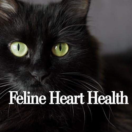 Feline Heart Health: What Every Cat Owner Needs to Know About Early Detection