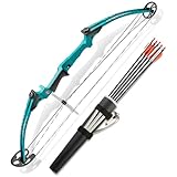 Genesis Original Compound Bow & Arrow Kit- Adjustable Riser, 15