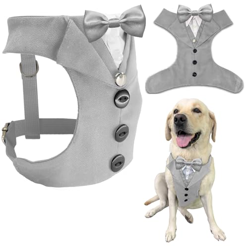 AVERYDAY  ^LV[h  ̃X[c lN^C RX`[ a nEB RXv NX}X p[eB[ ybg tH[}EFA lN^Ct ^LV[h ^ ^ uhbO uh[EnXL[