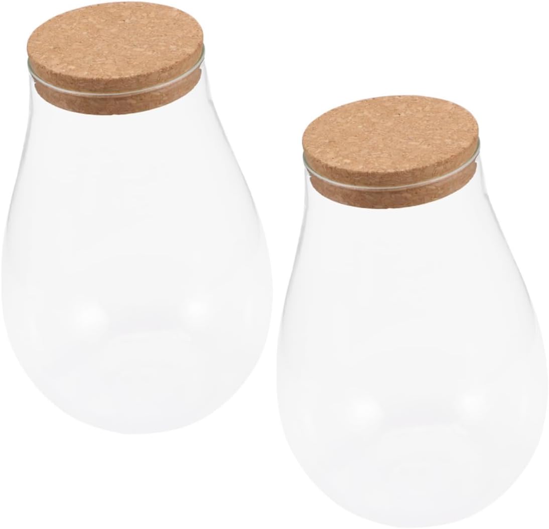 VICASKY 2pcs Moss Plant Bottle Terrarium Jar Micro Landscape DIY Bottle Glass for Indoor Plants