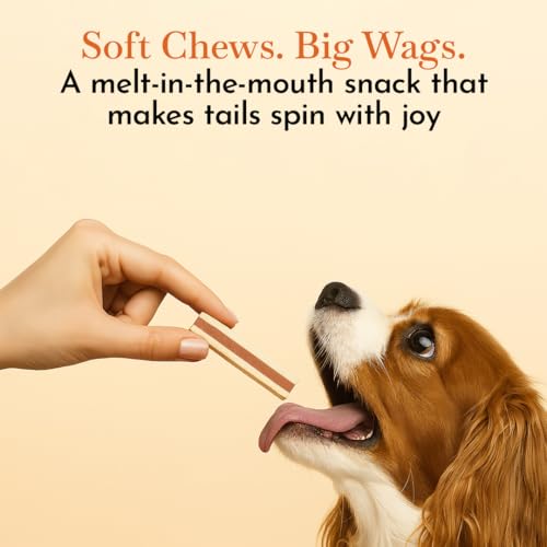 Image of O'Dog Healthy Yummy High Protein Tasty Chicken Sandwich Treats for Dog (100 gm) Pack of 1