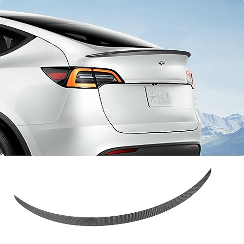 Tesla Model Y Spoiler & Center Console Sunglasses Holder