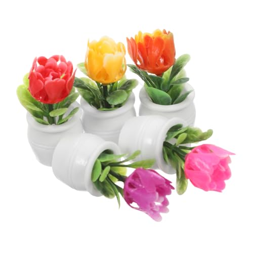 Mipcase Décoration De Verdure Miniature pour Maison De Poupée 5 Pièces Plantes Miniatures en Pot Réalistes