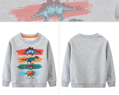 Boys Sweatshirts Casual Sweatshirts Cotton Sweatshirts Long Sleeve T-shirts Crew Neck Cartoon Tops for Boys-84