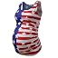 Usa Flag1