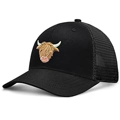 Black Highland Cattle