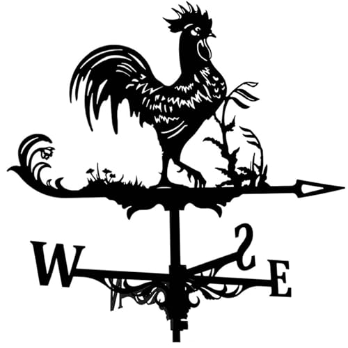 Girouette en forme de coq en fer, accessoires de décoration de jardin, vanne, piquet de jardin, indicateur de direction du vent, outil de mesure