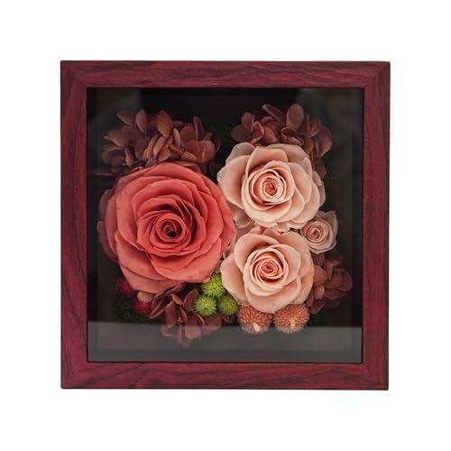 vU[uht[ t[ v[g ỉ LO  o MtghCt[ AW ͂Ȃ   j i N Êj j LO Vz j  ̓ ̓ (eRb^)