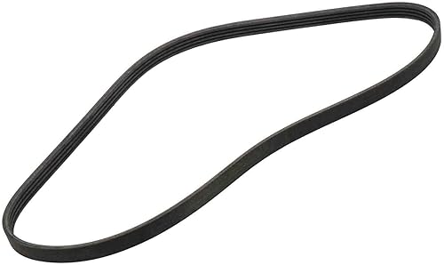 ACDelco GM Original Equipment 12622244 - Correa de compresor de aire acondicionado