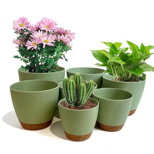 LIFFY Indoor Self Watering Planters with Drainage Holes and Saucers,