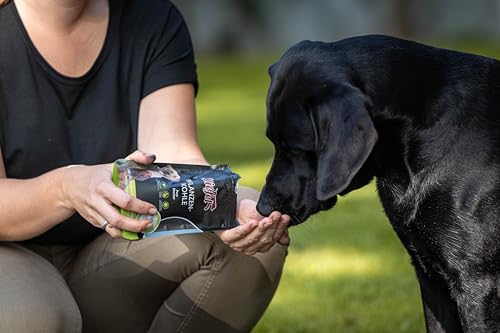 Stiefel Pflanzenkohle für Hunde, 100% Reine Pflanzenkohle, kann eine gesunde Verdauung unterstützen, positiver Effekt auf den Stoffwechsel, 50g