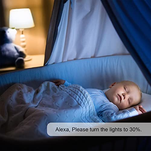 New One Z-Wave Plug, 700 Series Smart Dimmer Plug,Z-Wave Hub Required, 125V 60Hz Dimmable Smart Plug, Compatible With Alexa, Smartthings, Wink, Max Power 300W #TOP3