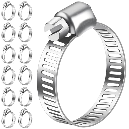 Bolatus Fascette stringitubo 16-25 mm, 12 morsetti per tubo in acciaio inox 304 regolabili, fascette stringitubo assortimento per tubo piscina, tubo da giardino