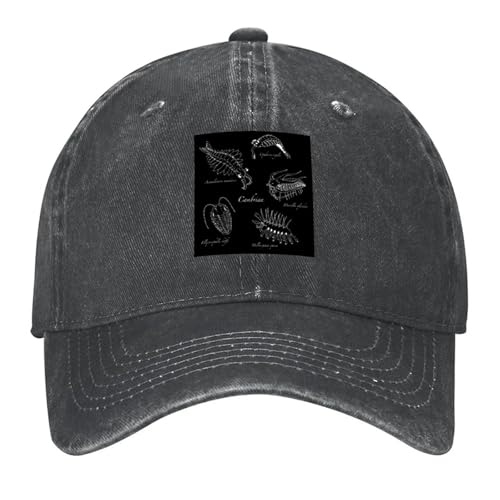 Casquette de baseball homme femme coton coupe sportive tactique Cambrian Life