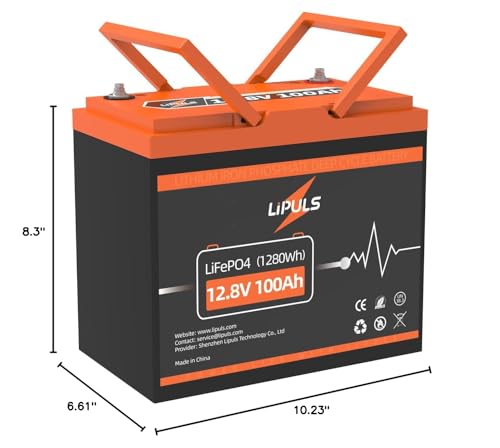 Lipuls LP 12V100AH AUTO 12.8V 100Ah Lifepo4 Lithium Deep Cycle Battery, Group 24 Size With Built-In 100A Bms, Max.1280Wh Lithium Iron Phosphate Battery, 10-Year Lifespan, Perfect For Rv thumb #7