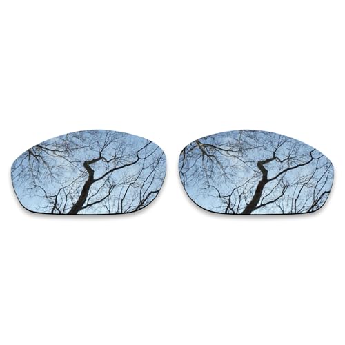 Verres polarisés anti-reflets argentés pour monture Oakley Encounter de rechange