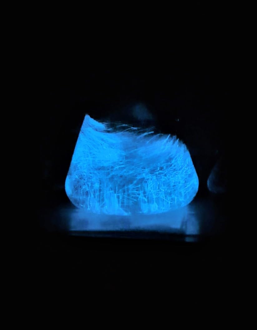 Plancton Bioluminescent Vivant – Culture Lumineuse à Observer | Kit Expérience Scientifique Enfant | Activité Éducative Maison | Cadeau Original