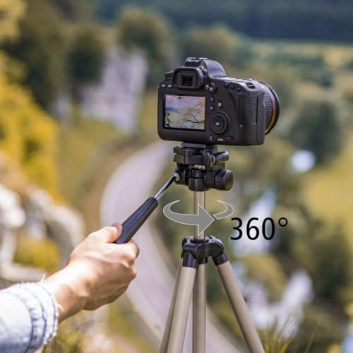 Hama Leichtes Einsteiger-Dreibeinstativ mit 3-Wege-Kopf, Star 75 125-3D, Champagner