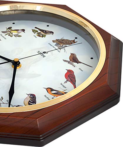 Justime Unique 12 North America Bird's Song Schoolhouse Pendulum Wall Clock Chimes Every Hour Melody Made In Taiwan (Tcbd-Pp-Owl-Dw Dark Wood) #TOP3