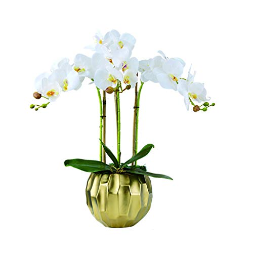  Ԗ~ t[AWg Ӓ  ItBX Ɨp ԕrt Ԗ~  