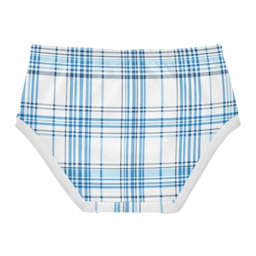 Sky Blue Plaid Girls' Underwear Breathable Material Breathable Underwear for Young Girls in Sizes 2T,3T, 4T, 5T, 6Y and 8Y2