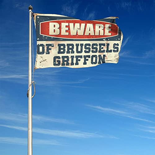 Bandera de Bruselas 152x244 cm: decora exteriores y baños amplios sin gastar de más 4