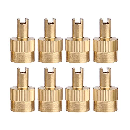 AMZLORD 8 tapas de vástago de válvula de neumático, tapa universal de válvula de neumático de cabeza ranurada de cobre completo con herramienta de extracción de núcleo, cubierta de válvula a prueba de