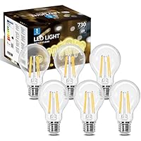Aigostar - Bombilla LED E27 Edison, 6W Equivalente a 55W, Blanco Cálido 2700K, 730 Lúmenes, Bombilla LED Vintage Decorativa A60 de Filamento, No Regulable, Cristal Transparente, Pack 6