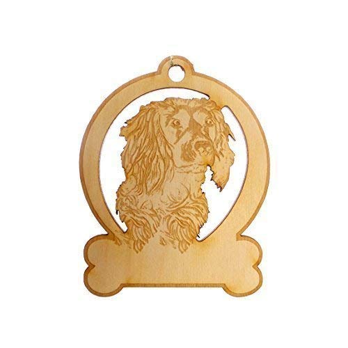 mackay exotic animal clinic