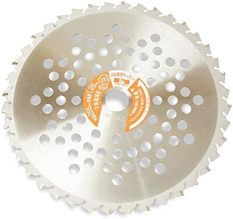  @ @  n {zCg`bv\[255×40P 5