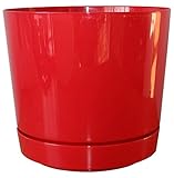 Dynamic Design SD0812RX Hi Gloss 8-Inch Poly Planter with Attached Saucer, Red Pop