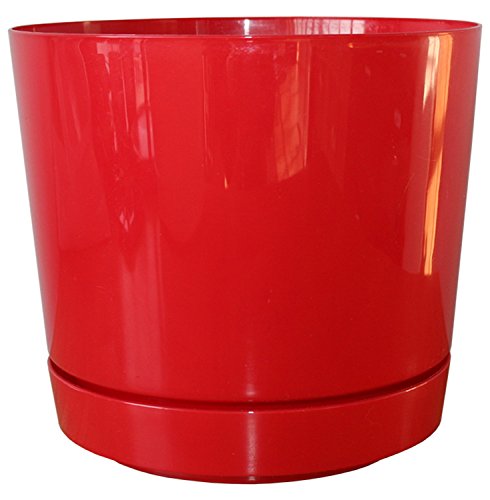 Dynamic Design SD0812RX Hi Gloss 8-Inch Poly Planter with Attached Saucer, Red Pop