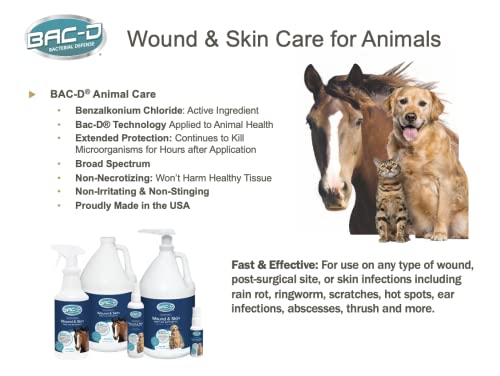 Bac-D 630 Alcohol Free Hand Sanitizer And Wound Care, 1 Gallon Refill, 128 Oz. (Pack Of 1) #TOP6