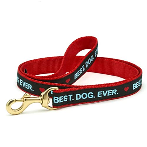 14 Best Dog Leash Ever In 2023 CibuForHair