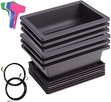6 Packs 6.3 Inches Bonsai Training Pots with Trays, Come with 15pcs Plant Lables, Rectangle Bonsai Flower Growing Nursery Planter Pots for Indoor Outdoor Home Garden, Black