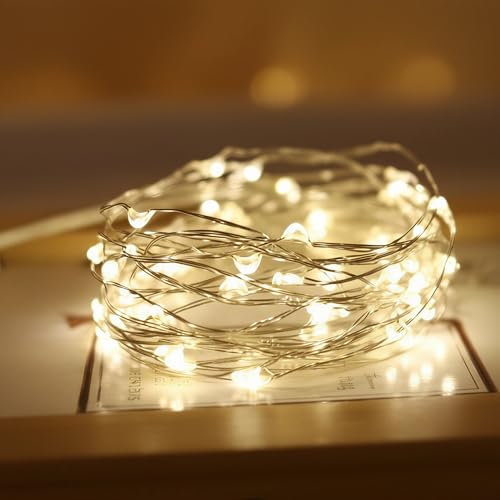 GoodTool LED String Lights Decorative Ambient Indoor String Lights Suitable for Gardens Homes Parties Decorating And Crafts(Warm White)