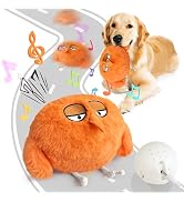 DUO GE MAO Smart Interactive Dog Ball Toys, Automatic Bouncing Ball Puppy Toys to Keep Them Busy,...