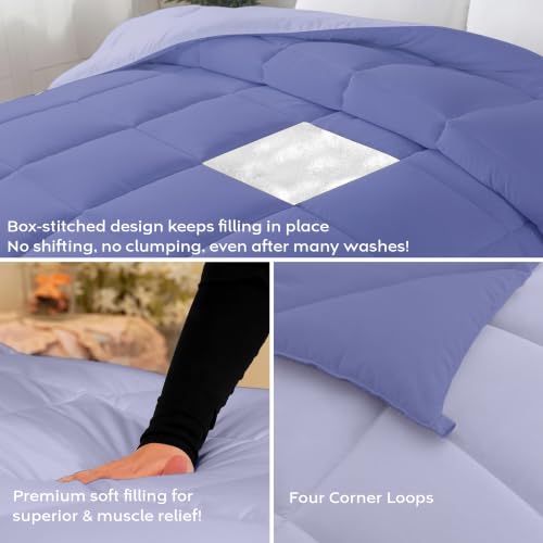 Image of AYKA Reversible Comforter 220 GSM Microfiber Reversible AC Comforter /Blanket for Winter /Quilt /Dohar /Duvets for King Size Blanket /Comforter Double Bed (Lavender & Blueberry, 90 * 100)