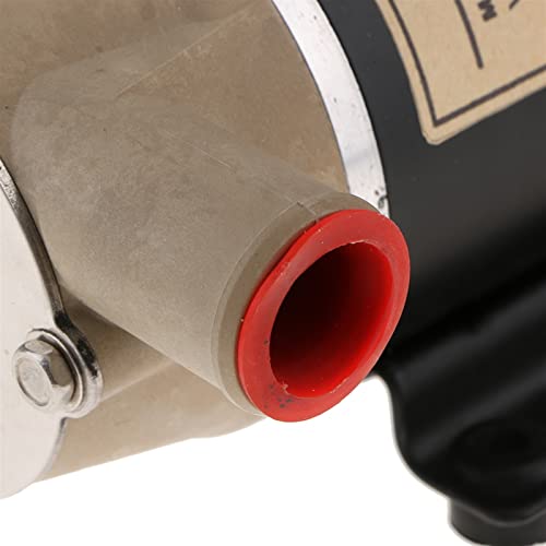 Wrtgerht Mini Power Small Pump Flexible Impeller Pumps 12V 8Gpm 30Lpm #TOP4