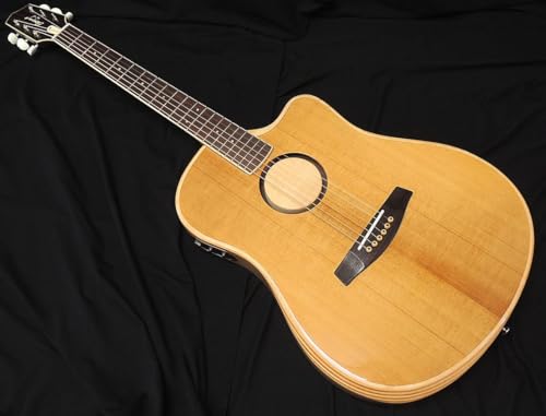 L.R.Baggs AEG-1 TOR �g���t�@�C�h�E�V�g�J�E�X�v���[�X LR�o�b�O�X ���� �G���N�g���b�N �A�R�[�X�e�B�b�N�M�^�[ �G���A�R �A�E�g���b�g