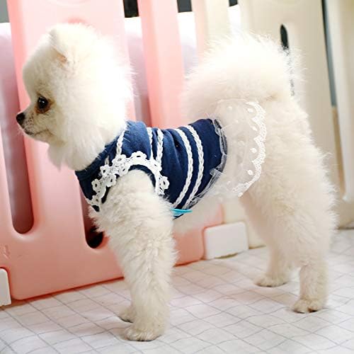 nutro max mini chunk chicken