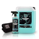 Refresh Cars Detergente Vetri Professionale Auto 5 L + Spray 500 ml + Panno Microfibra — Antipioggia Antinsetti Interno ed Esterno, Glass Cleaner Concentrato Visibilità Ottimale