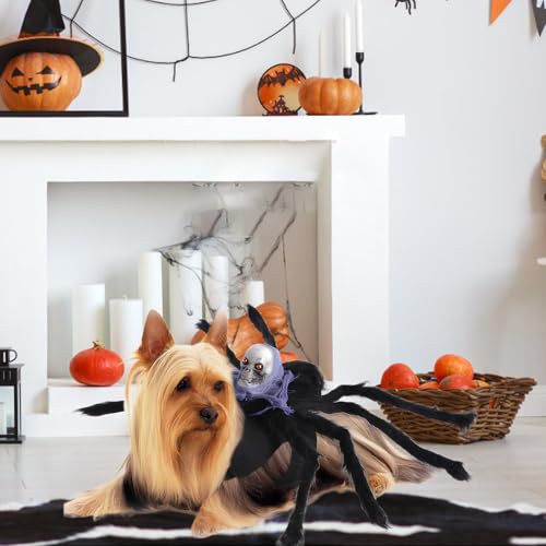 Halloween Spinne Kostüm für Hund Katze, Lila Schädel Kostüm für Hunde und Katzen, Cosplay Spider Kostüme für Hunde und Katzen, Haustierkostüm für Halloween Cosplay (M)