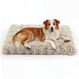 BingoPaw Panier Chien Grande Taille: 90x60x10cm Coussin Chien Déhoussable et Lavable en Machine, Tapis Matelas Lit Imperméable, Tissu Peluche Doux, Beige