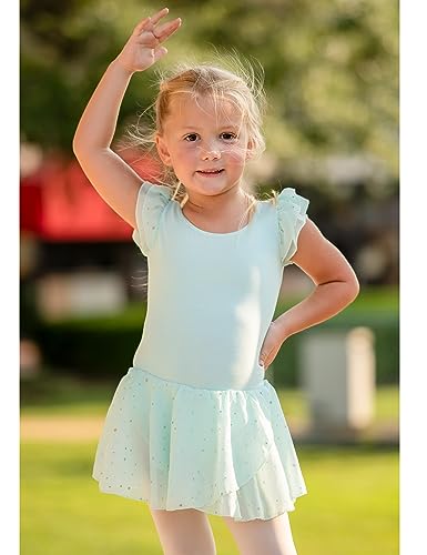 Image of Arshiner Girls Ruffle Sleeve Ballet Dance Dress Tutu Skirted Leotard